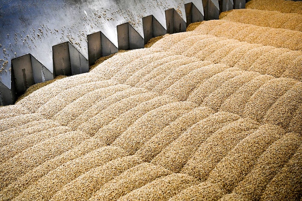 Progress in implementing agreements: Russian Foreign Ministry calls condition of further extension of 'grains agreement' KXan 36 Daily News