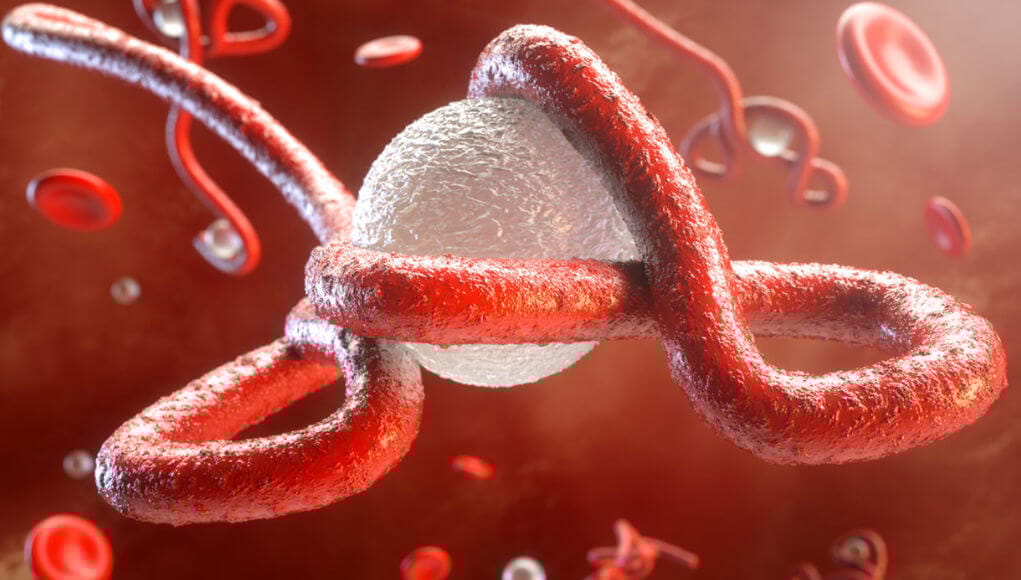 WHO reports eruption of EBOLA 2020 outbreak, again