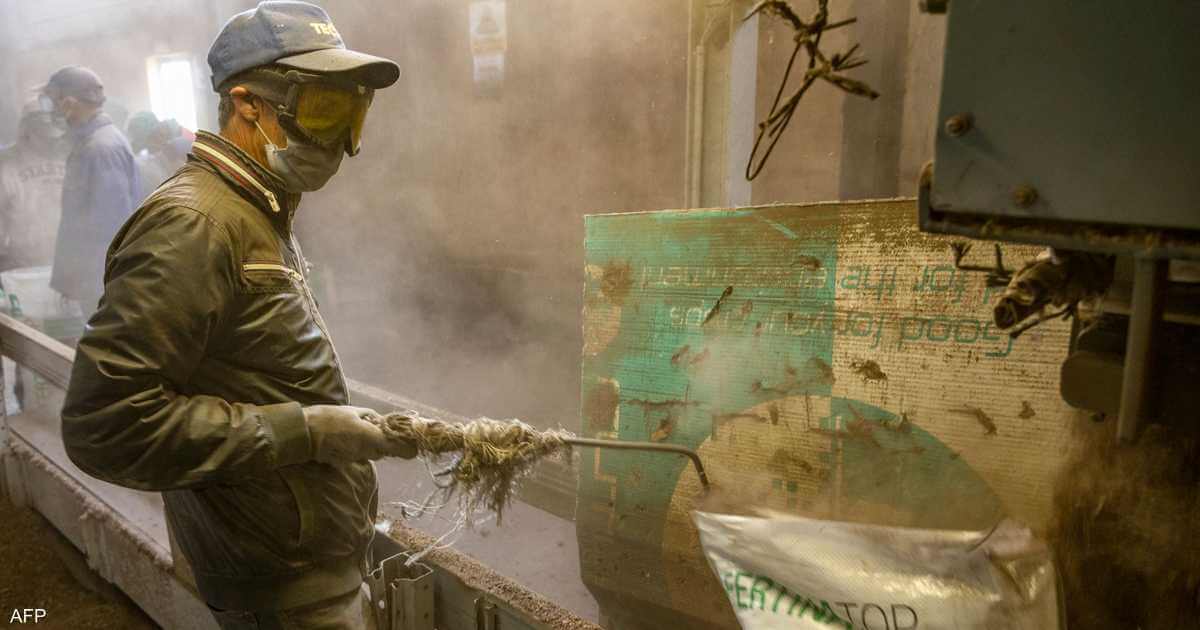 For this reason, unemployment increased in Morocco in the first quarter of 2023