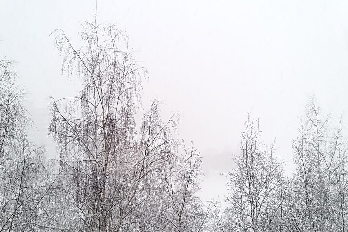 Residents of the Leningrad region have been warned of snowfall and frosts of 20 degrees until the end of the week