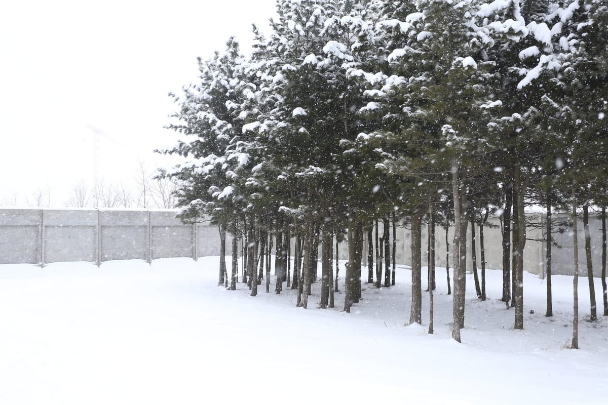 The weather will be cloudy again in Kaliningrad at the start of the working week
