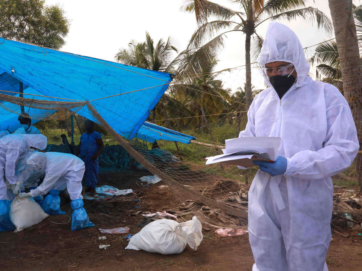 Agriculture, Argentina, France, India, Poultry, Epidemic, Top Stories,