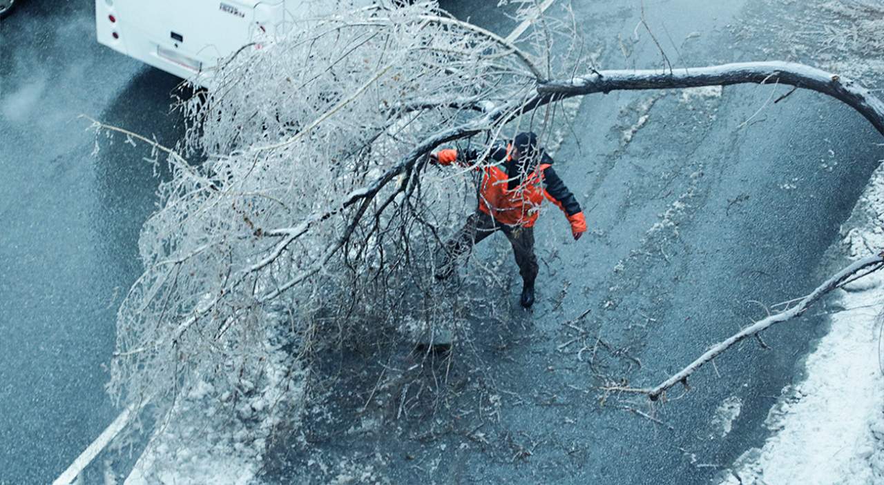 Primorye authorities spoke about the fight against the "legacy" of freezing rain