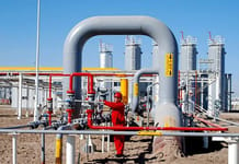 Statistical data on gas exports to Uzbekistan and China differ significantly

