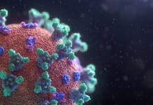 AI has created a vaccine against all strains of coronavirus at once

