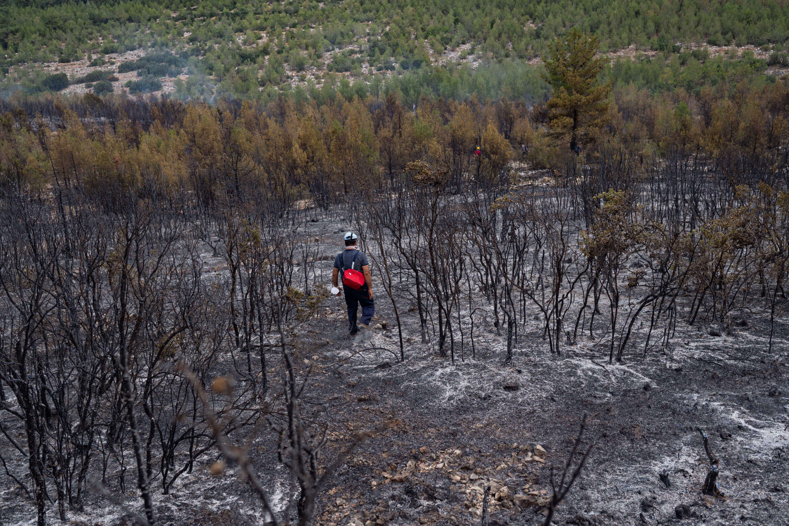 TURKEY-FOREST-FIRE-GREECE-NEWS-EASTERN-HERALD