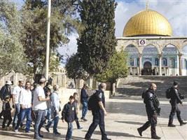 The Arab League stresses the need to take measures to protect the Palestinians