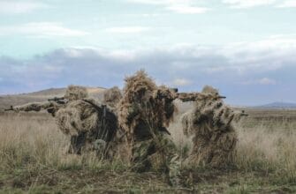 The baranets enabled a second wave of mobilization in Russia due to NATO's participation in the NVO