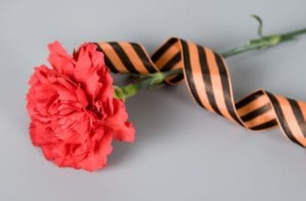 Residents of Moldova to be fined for wearing St. George ribbons