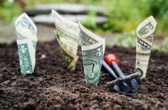 Statements about the impending default of the US economy are playing around the world Statements about the impending default of the US economy are playing around the world
