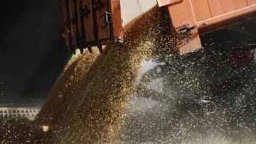 Bulgaria has joined Poland, Hungary and Slovakia in temporarily banning the import of Ukrainian grain