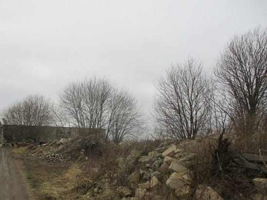 Rosselkhoznadzor found a dump of building materials in the Kaliningrad region