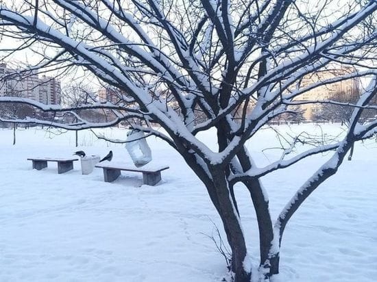 Snowfall And Abnormally Low Pressure What Will The Weather Be Like In Saint Petersburg On March 8 