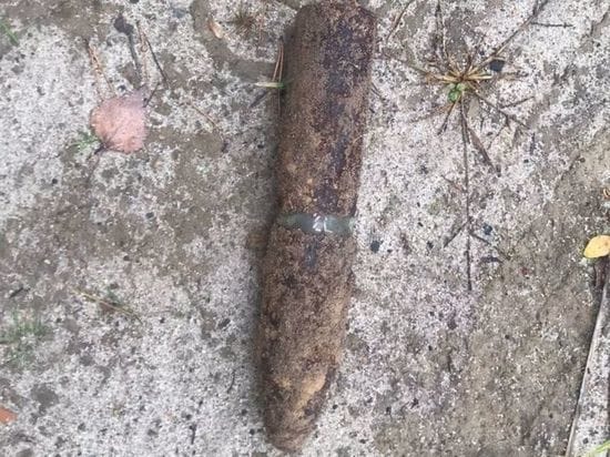 Bryansk rescuers neutralized a war artillery shell near Unecha
