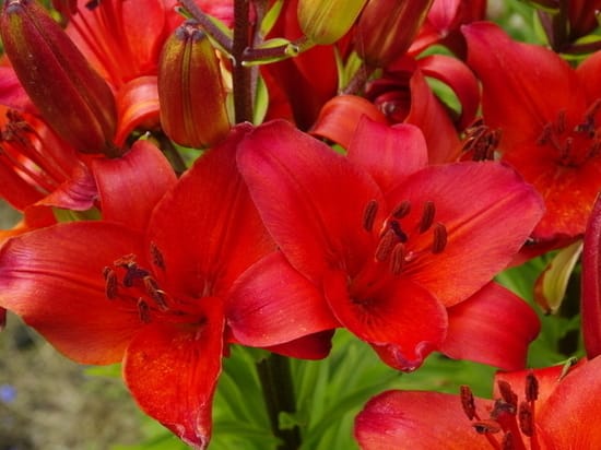 In the spring, people with allergies should give up alcohol and tobacco.