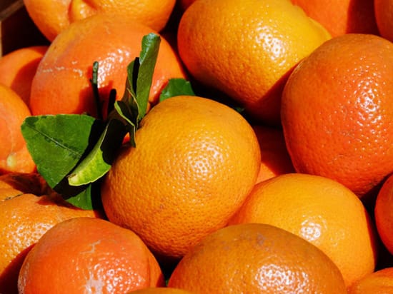 Rospotrebnadzor reminded who is strictly forbidden to eat citrus fruits