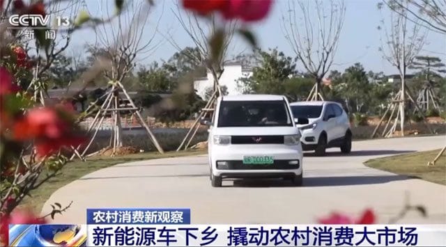 New consumption industries and trends emerge in China's rural areas