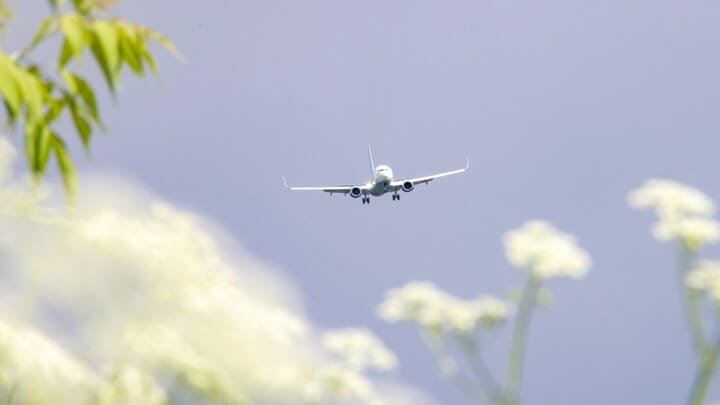 EU regrets Georgia's decision to resume flights with Russia
