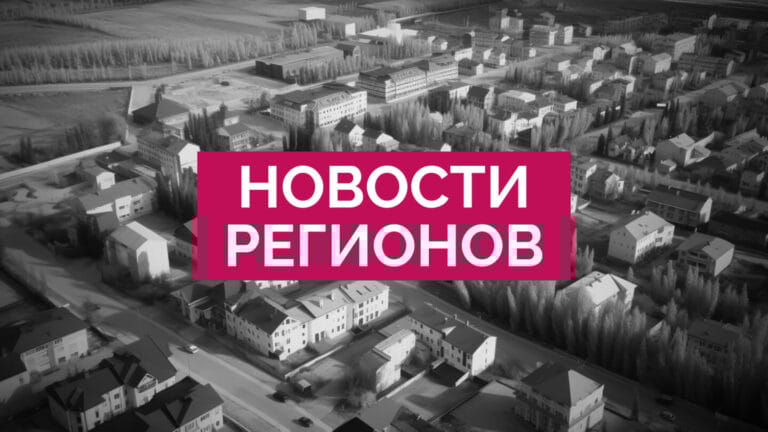 Seizure of Volkswagen assets and "burial" of a son alive by congratulations on March 8.  Regional News