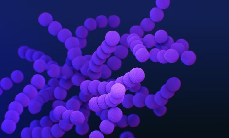 Virologist Altshtein explained whether Russia is threatened by an anthrax epidemic