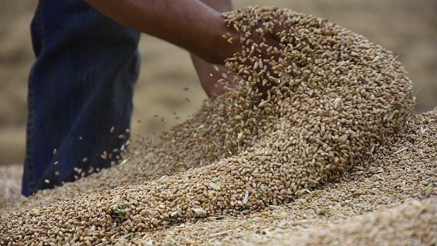 Sudan announces the arrival of 50,000 tons of US aid wheat