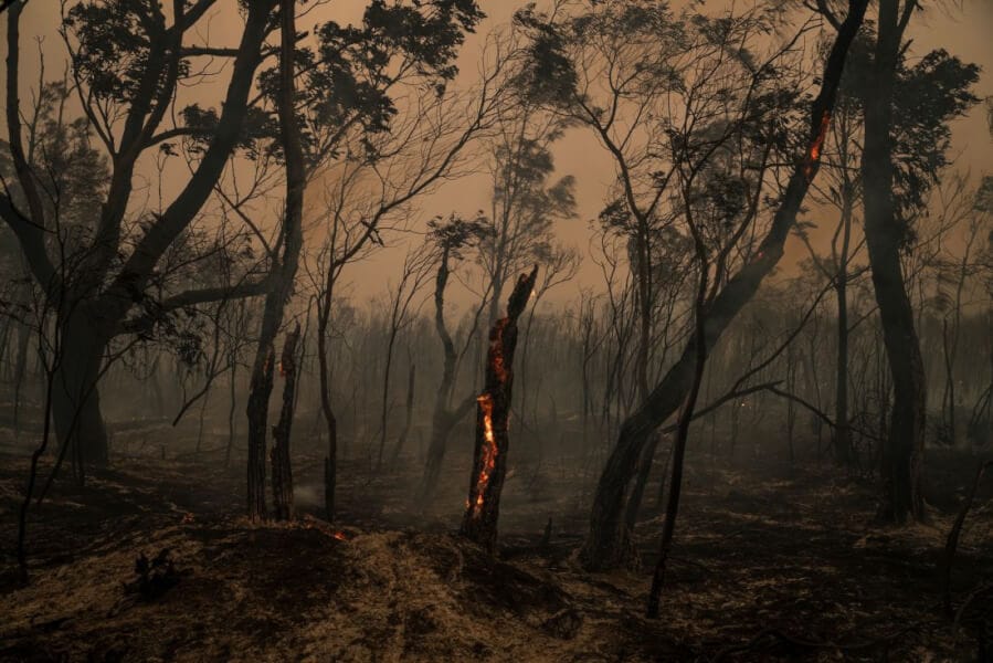 Europe: Devastating forest fire and great drought