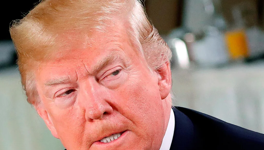 donald trump stupidity, donald trump videos removed from facebook and twitter, trump news, politics news, digital news, law news, twitter policy, facebook policy, world news, breaking news, latest news; The Eastern Herald News