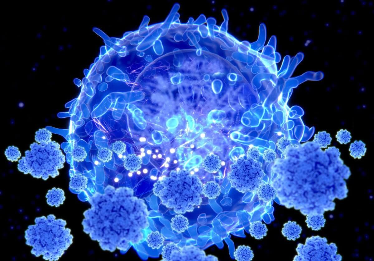 A new type of coronavirus immunity described - the T-cell riddle