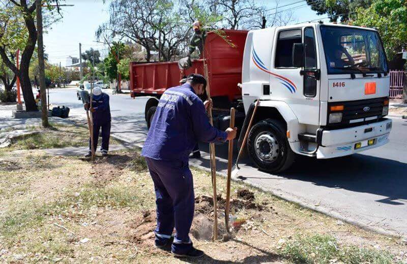 The Municipality started the plantation of jacarandas to increase the forest heritage on Independencia avenue