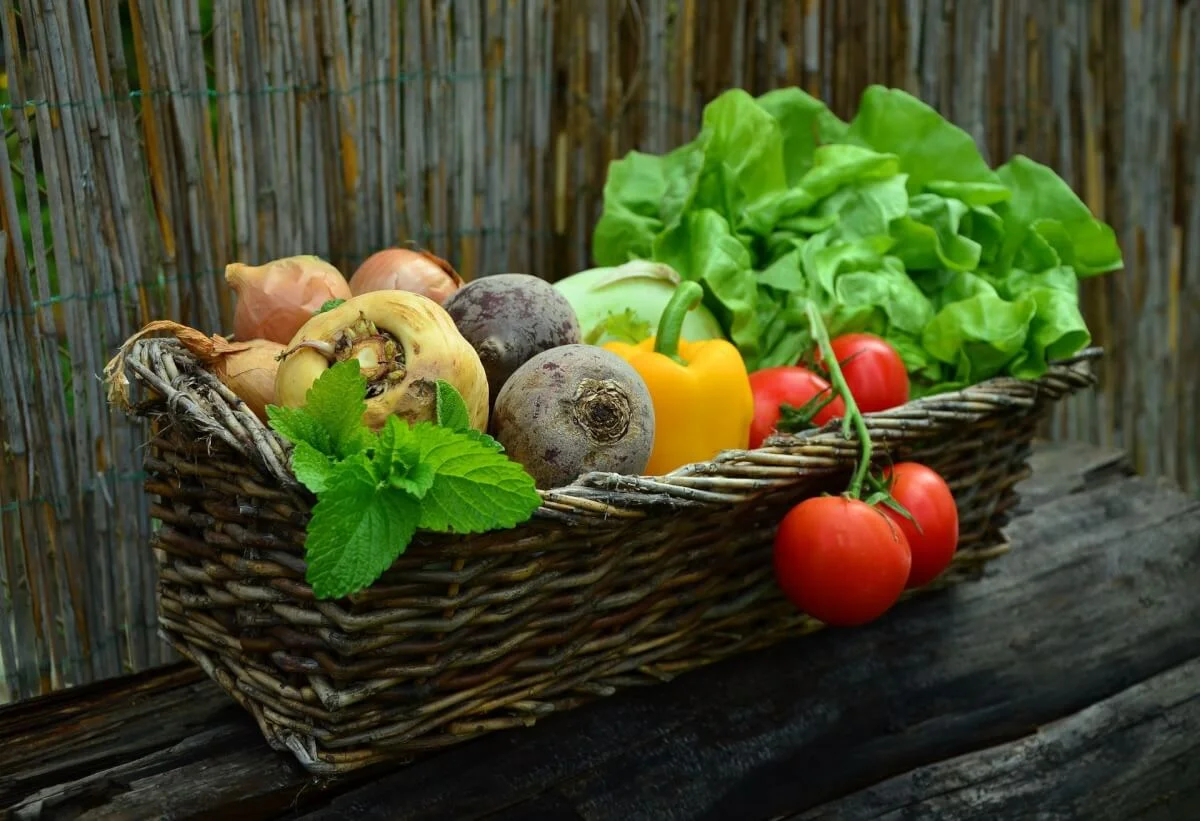 These three vitamins will instantly lift you to your feet