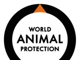 World Animal Protection Renews Call to Ban Wildlife Trade to Prime Minister