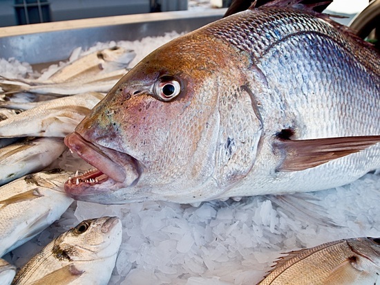 850 new jobs created in the Arctic fishing industry in 850 new jobs created in the Arctic fishing industry in two years