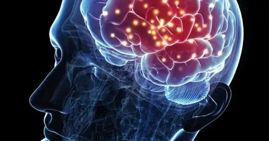 Elon Musk allowed to test brain chips on humans


