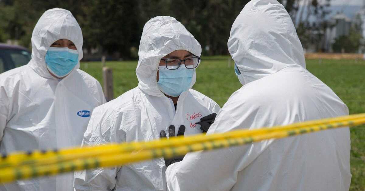 Experts are sounding the alarm over the bird flu virus

