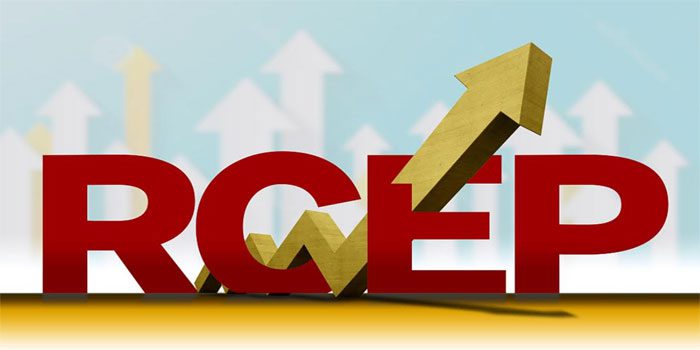Fully effective RCEP will accelerate the process of regional economic integration:Indonesian scholar
