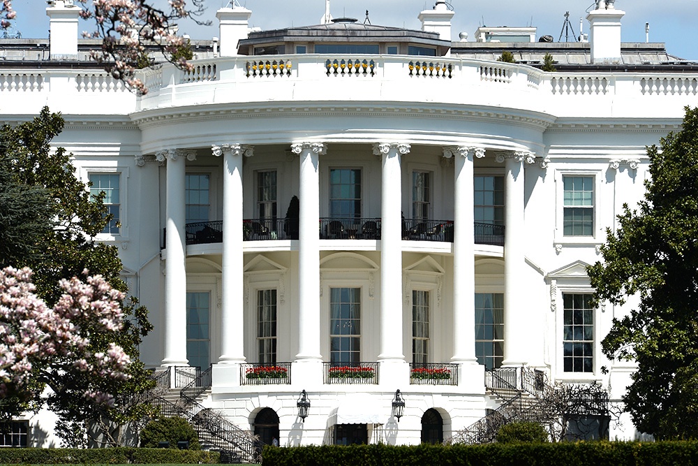  Views at the White House.  Why are NATO leaders flying to the United States one after another?

